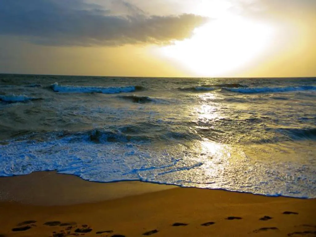 ** Hotell Ziegler Cottage Negombo Sri Lanka