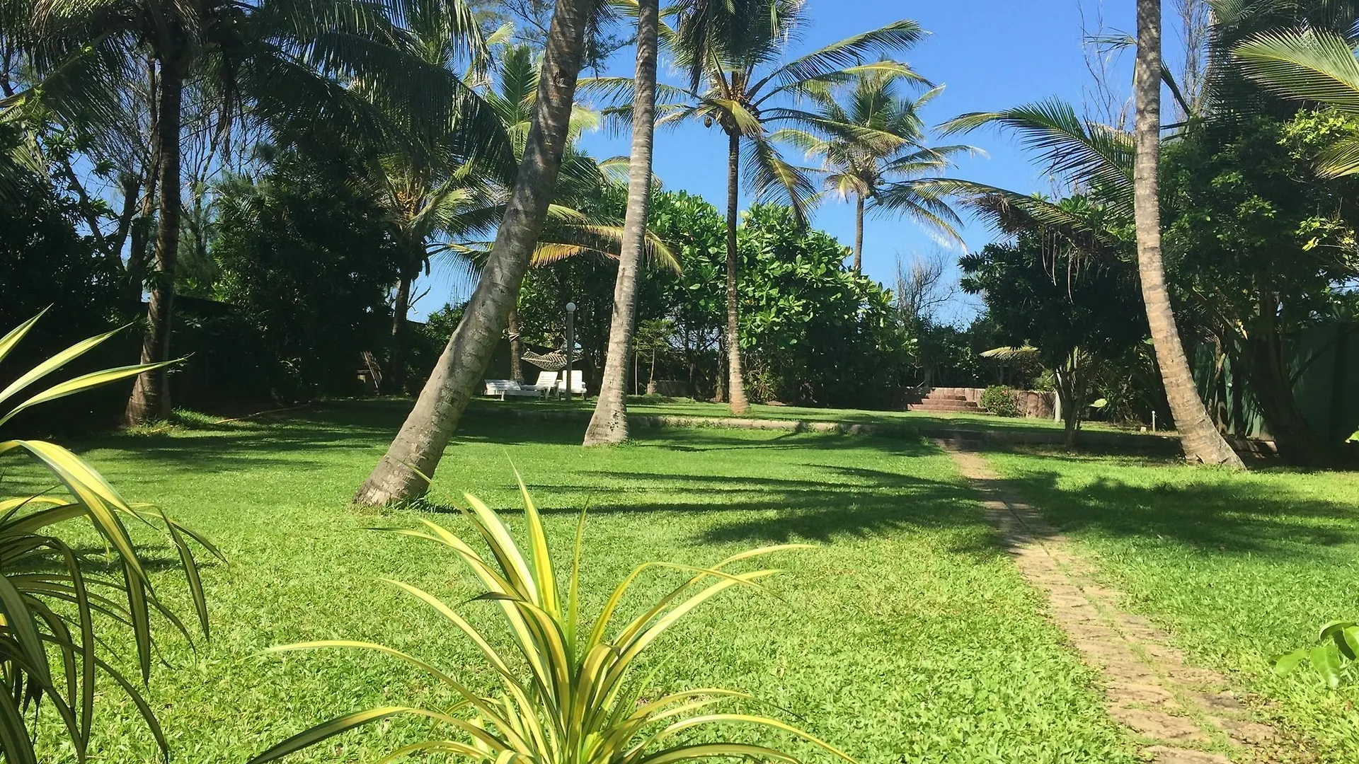 Ziegler Cottage Negombo Hotell